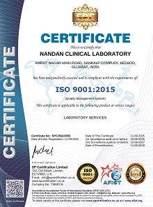 ISO 9001 Certified